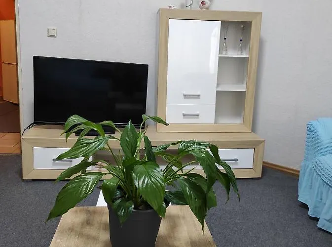 Apartamento Rose Malfatigasse